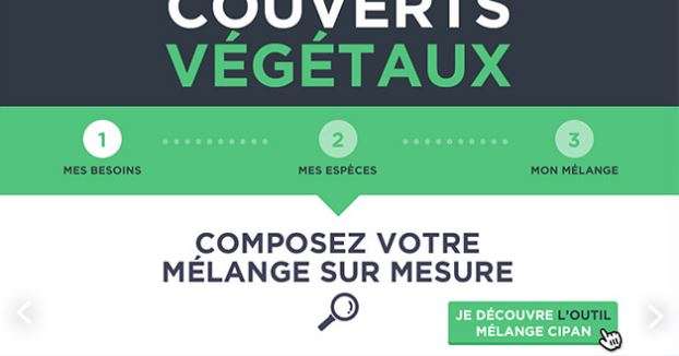 Couverts végétaux : composez vous-même votre mélange !