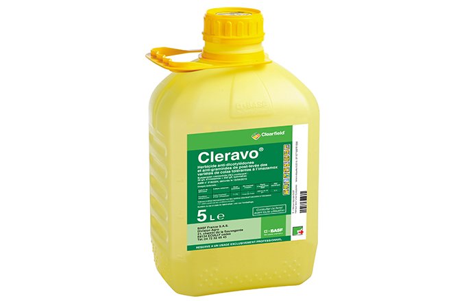 Cleravo, nouvel herbicide colza Clearfield. © BASF