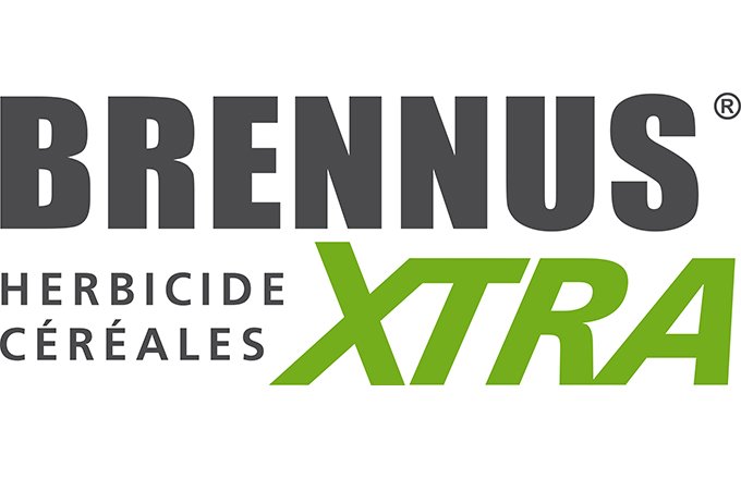 Brennus® Xtra, nouvel anti-dicot céréales.