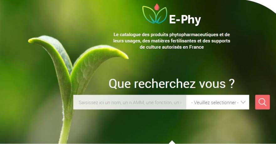 Un nouveau site Ephy opérationnel le 2 mars.