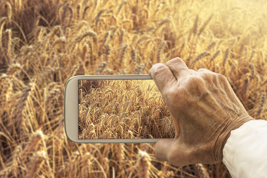 Le Big data au service de quelle agriculture ? © Maticsandra/Fotolia