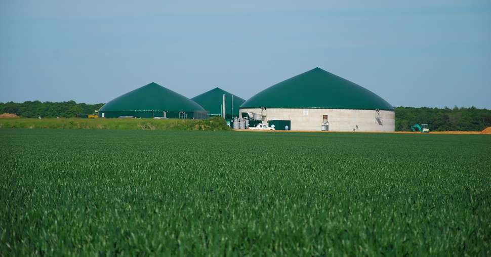 Digesteurs au milieu des champs de blé