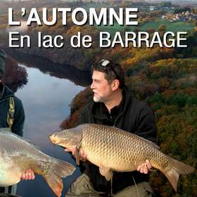 [CARPE] Pêche de la carpe au cœur de l'automne en lac de barrage - Let's Go Carp Fishing