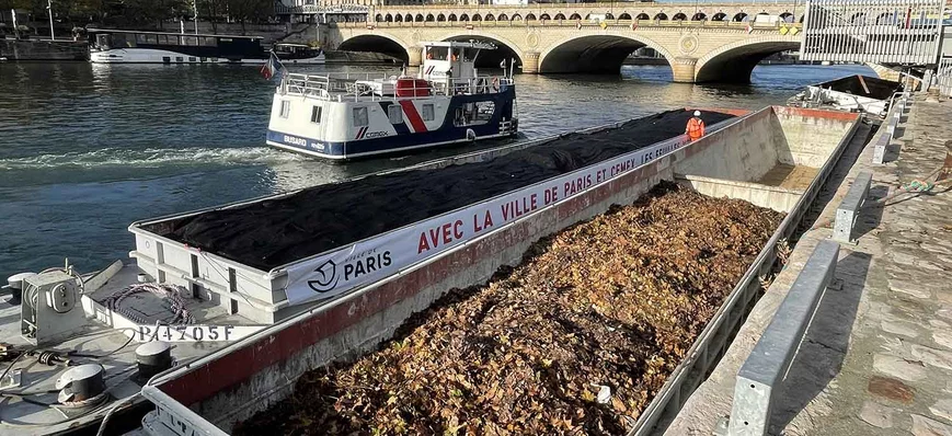 Des feuilles mortes parisiennes sur la Seine dans 