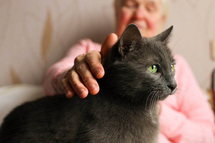 Senior woman in pink sweater petting her old cat friend.