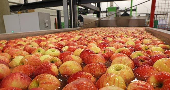 La filière fait face à des difficultés d'approvisionnement pour les pommes réservées à l’industrie. Photo : branex/Adobe Stock