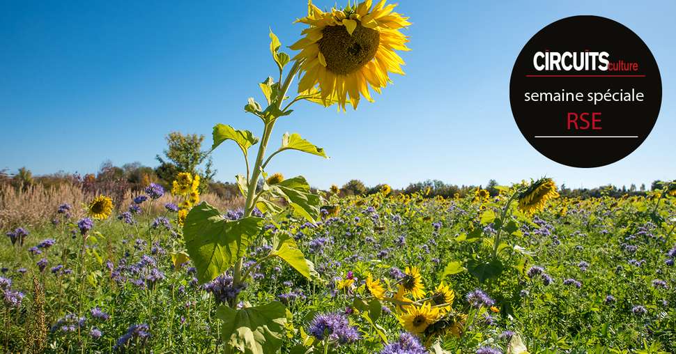 Le référentiel Sillon Responsable recense plus de 100 pratiques capables de répondre aux enjeux de la transition agricole. Photo : SusaZoom/Adobe Stock