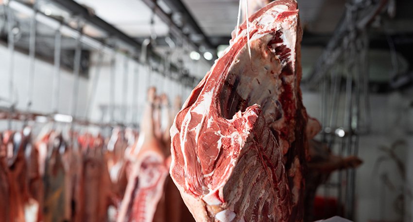 Le marché allemand a vu les achats de viande bovine baisser de 4% en cumul sur les trois premiers trimestres 2023.