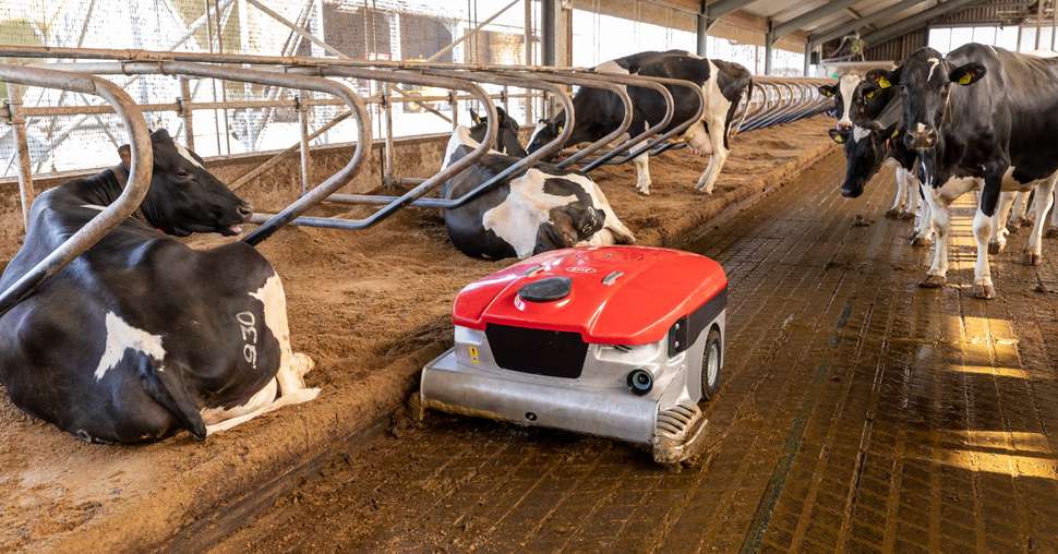 Le robot aspirateur de lisier Lely Discovery Collector C2 gagne en capacité