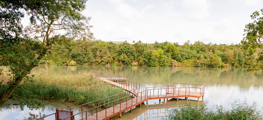 Drôme : à la reconquête des berges de l'Isère