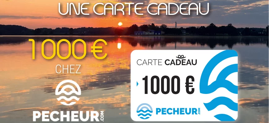 Gagnez une carte-cadeau de 1000€ à dépenser chez P