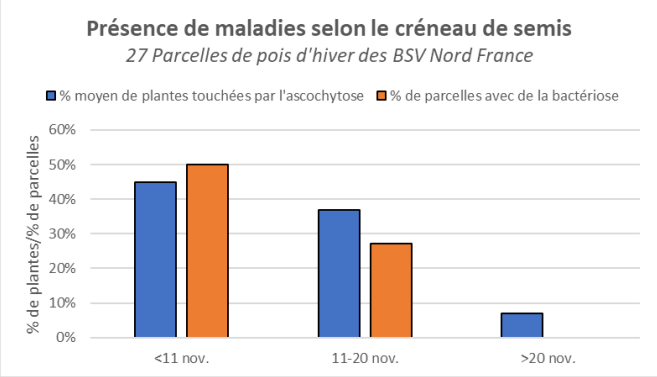 présence des maladies semlon le créneau de semis