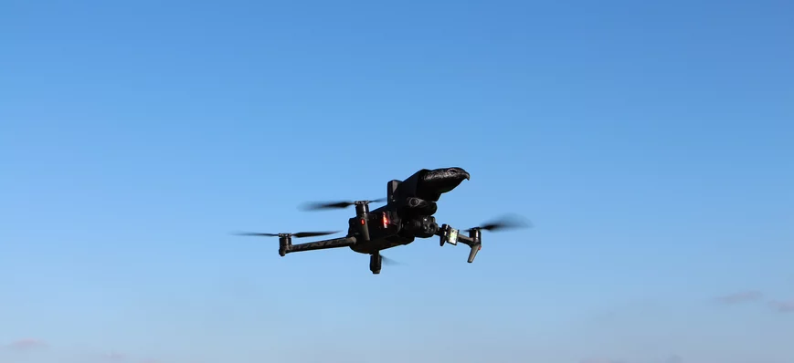 Des drones pour protéger les cultures de maïs