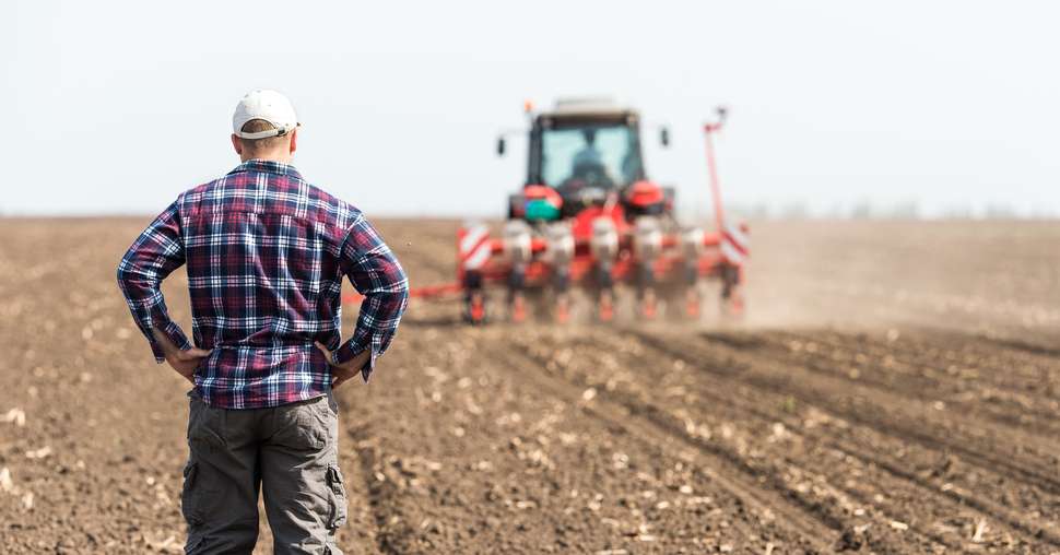 young farmer on farmland