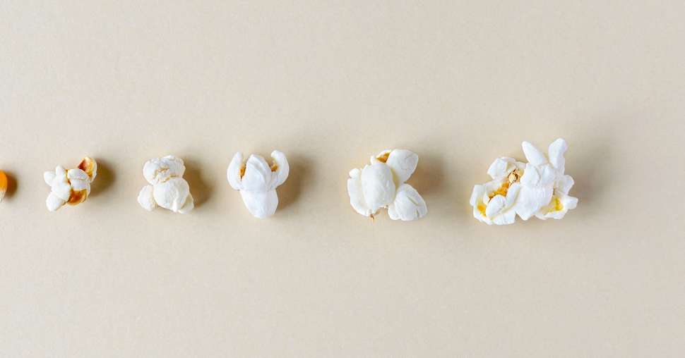 Stages of preparation of popcorn. Grain of corn and popcorn on a