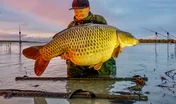 Il pêche le Graal dans un lac des Alpes-Maritimes : une carpe koï de 8 kg  avec une originalité sur sa joue