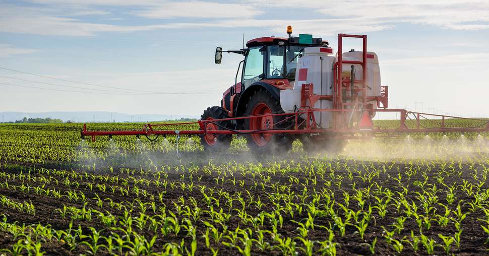 Tractor spraying young corn with pesticides