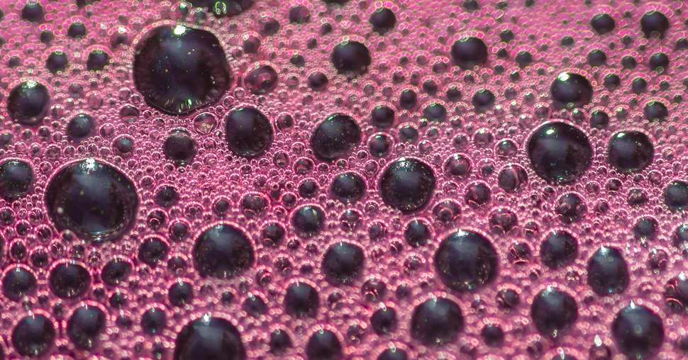 Bubbles the wort red wine during fermentation