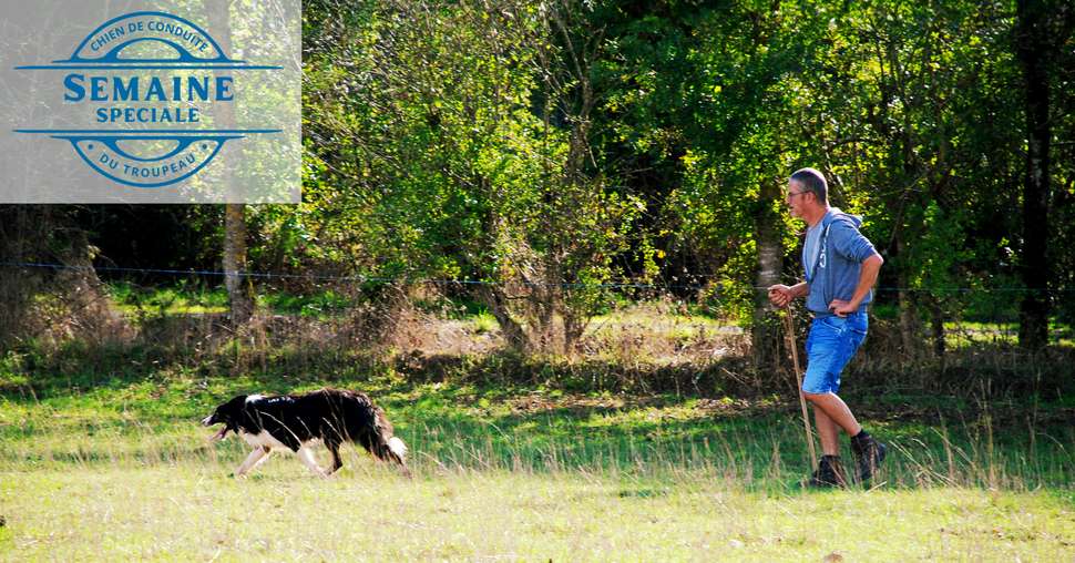 Dominique Bréchoir et son chien Spike