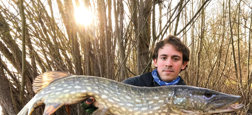 Brochet : adaptation et évolution