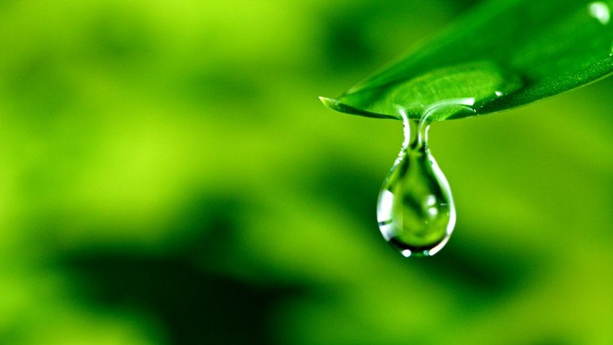 fresh green leaf with water drop, relaxation concept