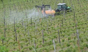 dérive lors d'un traitement phytosanitaire en viticulture
