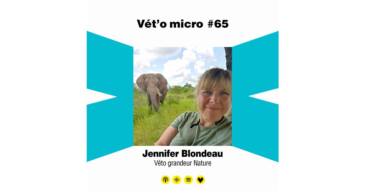 Épisode #65 - Jennifer Blondeau - Véto grandeur Na...