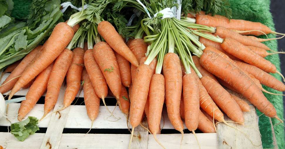 carottes sur le marché