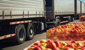 Fruit distribution trucks loaded with containers full of apples
