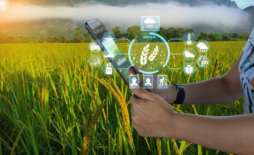 Ai smart farming agriculture concept. People holding smartphone tablet monitor and track agricultural produce through modern wireless networks. smart farming innovation, future 5G technology analyze.
