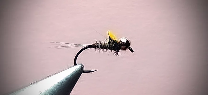 Les mouches indispensables en mars (3/4) : la nymp