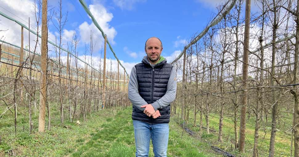 Jérôme Capel, producteur de prunes dans le Tarn-et-Garonne
