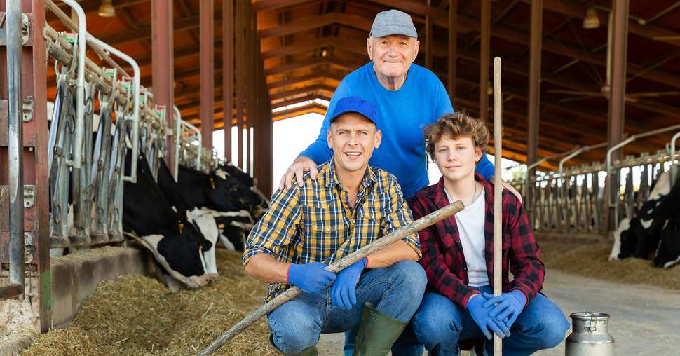 Successful elderly dairy farm owner with son and teen grandson s