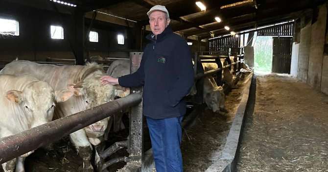 David Chataigner, coprésident de la section bovine de la Caveb