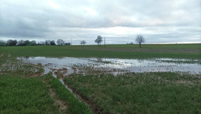 Deux-Sèvres - 7 mars 2024 - inondation - champs