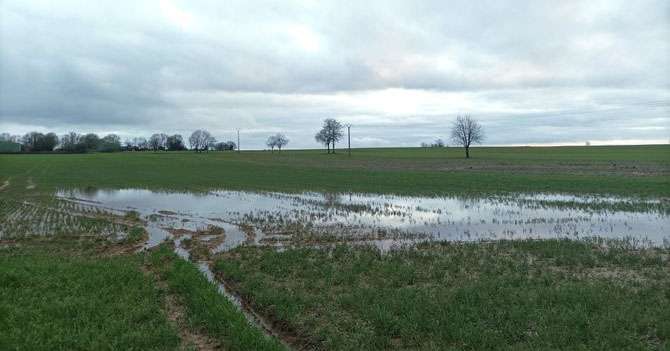 Deux-Sèvres - 7 mars 2024 - inondation - champs