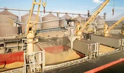 Loading grain into holds of sea cargo vessel through an automati