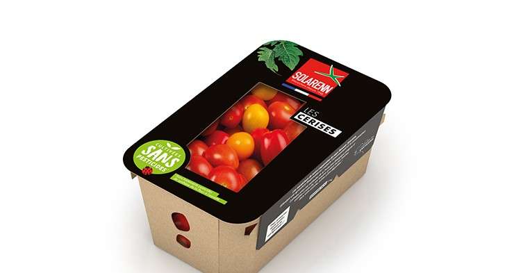 tomates cerises 500 g Solarenn carton et fibre de cellulose