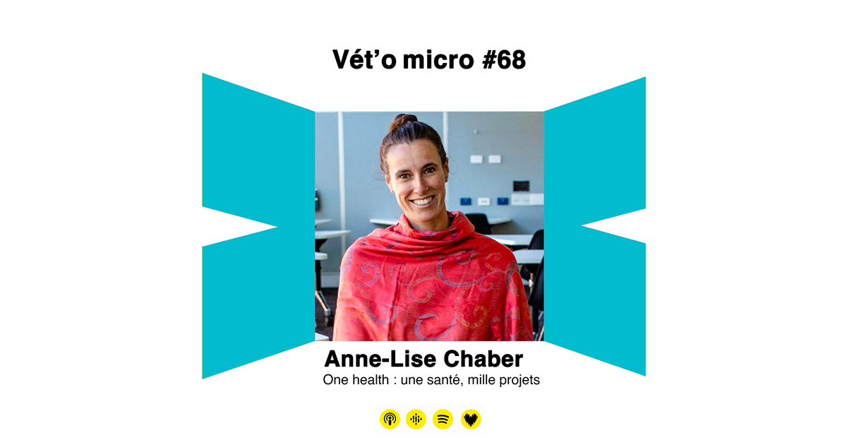 Épisode #68 - Anne-Lise Chaber - One health  une s...