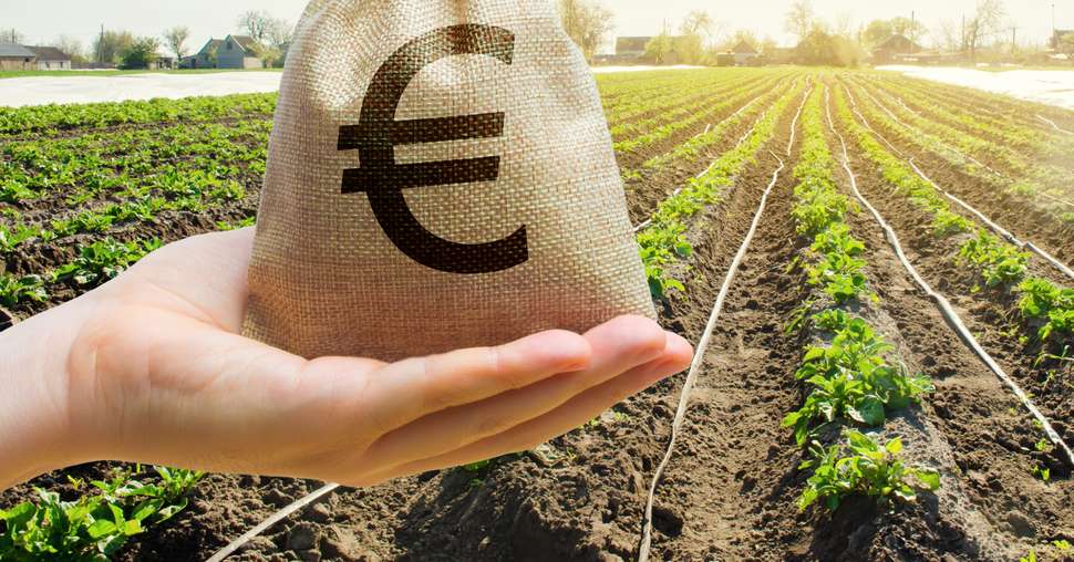 Money bag on the background of agricultural crops in the hand of the farmer. Agricultural startups. Profit from agribusiness. Lending and subsidizing farmers. Grants and support. Land value and rent.