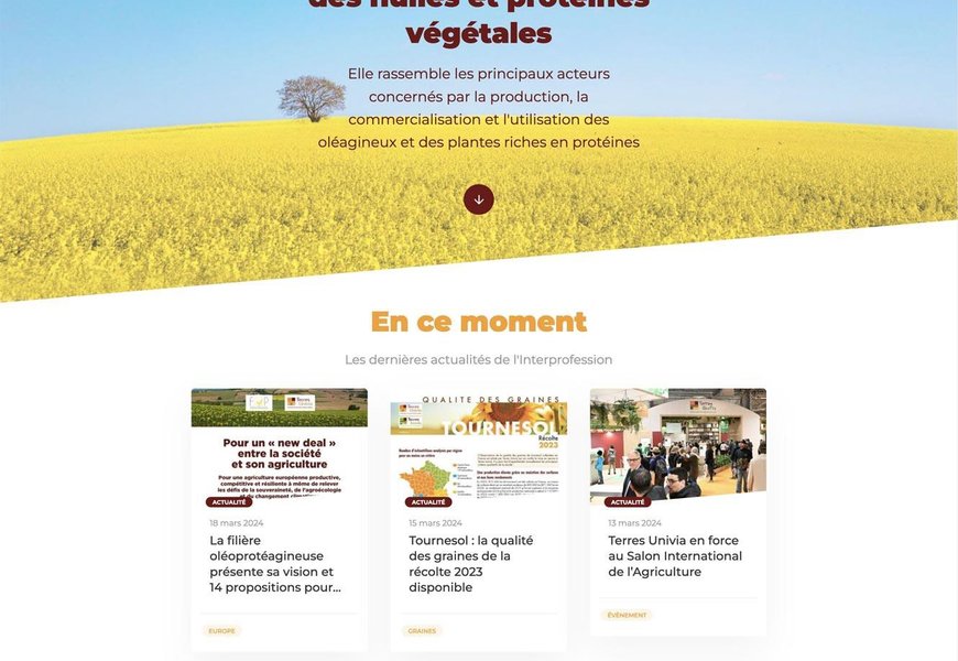 Nouveau site pour Terres Univia