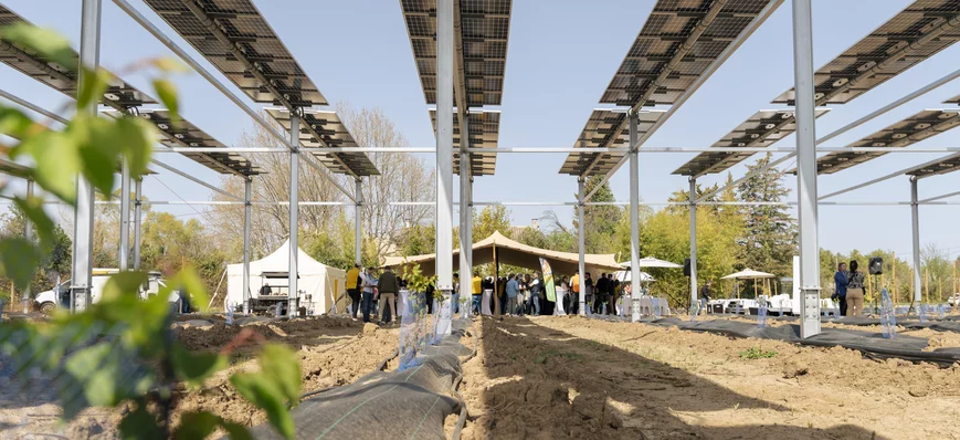 Sun'Agri inaugure un dispositif agrivoltaïque sur 