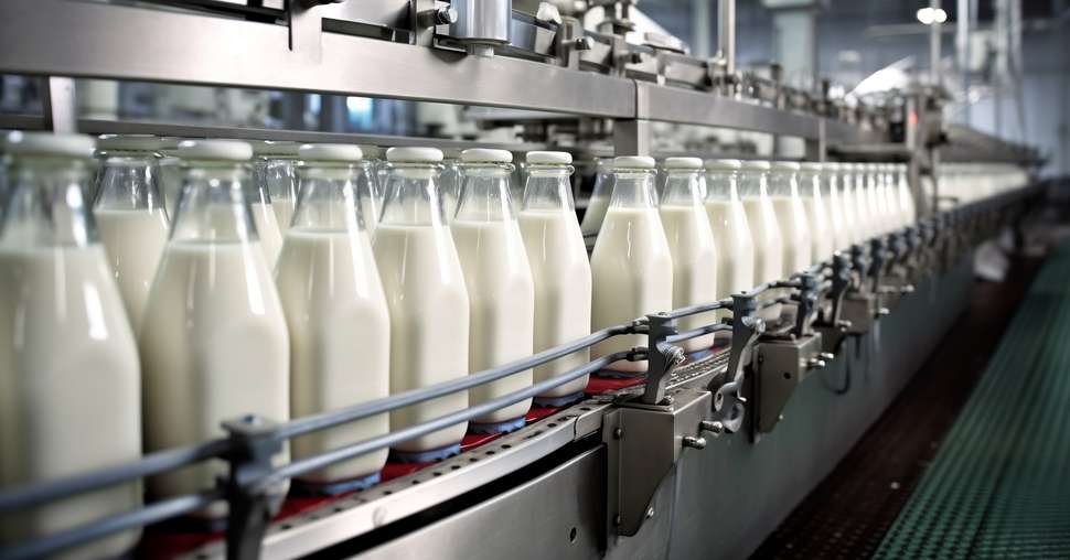 Milk Bottling Line at Dairy Production Plant. AI