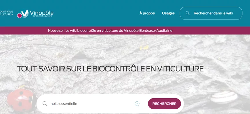 Le Vinopôle Bordeaux-Aquitaine lance un Wikipédia 