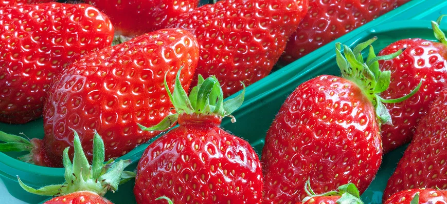 Spécial fraise • Pic de volumes pour la Gariguette