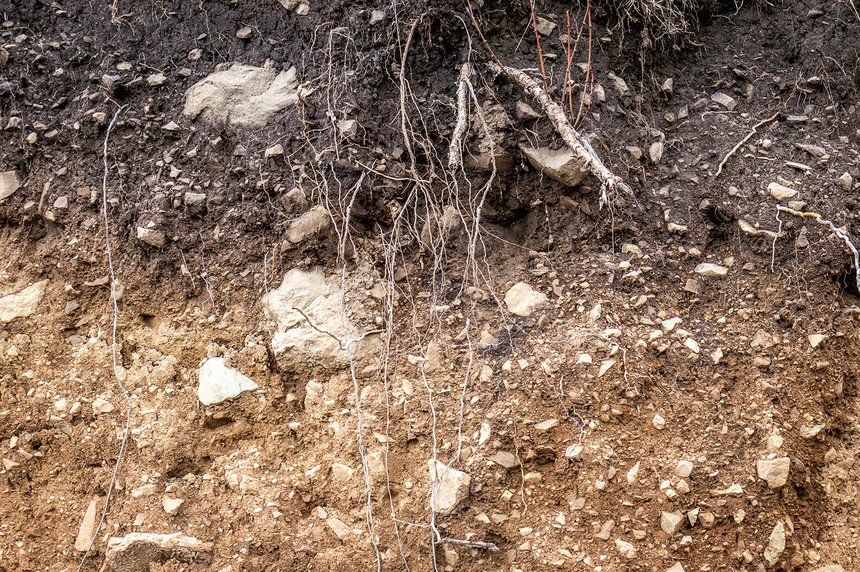 Layers of soil wet soil roots in soil soil profile soil zones ro