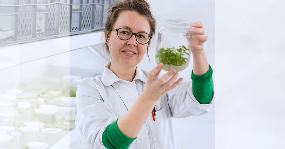 Justine Perrotte, responsable du groupe matériel végétal chez Invenio