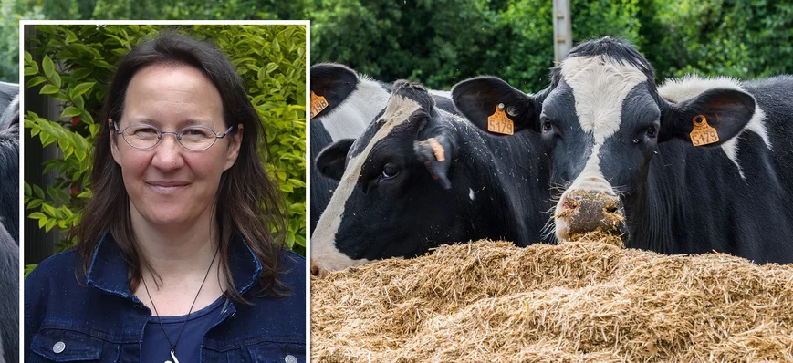 Vaches laitières : les 8 conseils de Valérie Broca