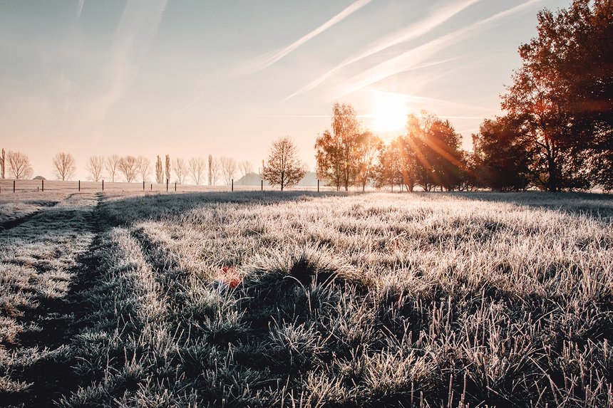 Calm and wonderful peaceful winter morning with frozen grass mea