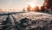 Calm and wonderful peaceful winter morning with frozen grass mea